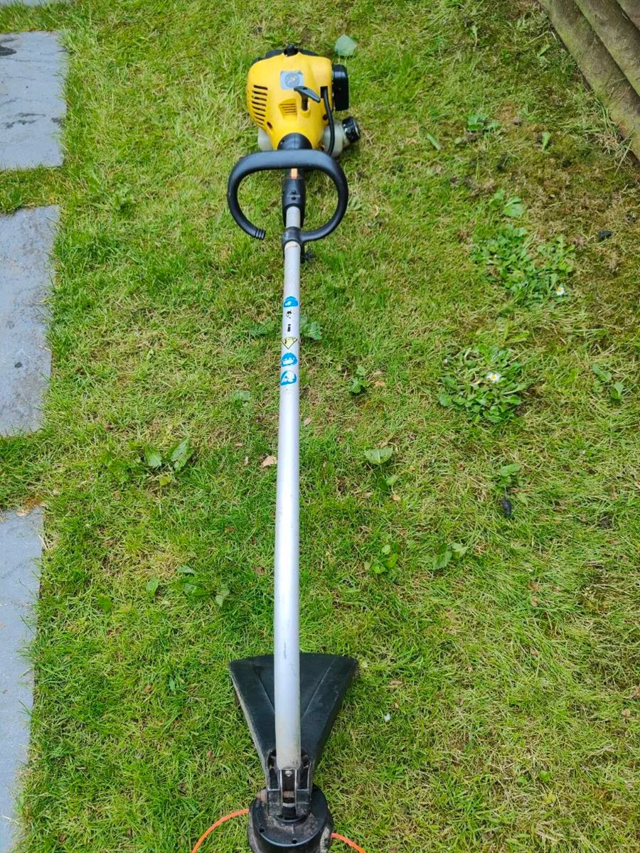 Strimmer - Image 2
