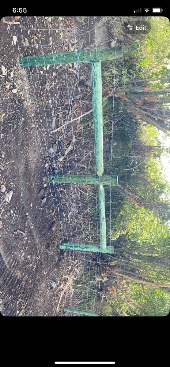 Fencing contractor - Image 3
