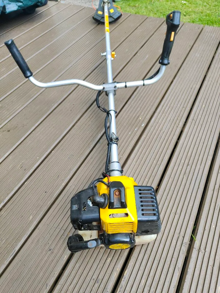 Strimmer - Image 1