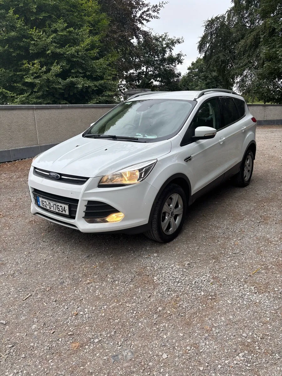 162 Kuga doe’d - Image 1