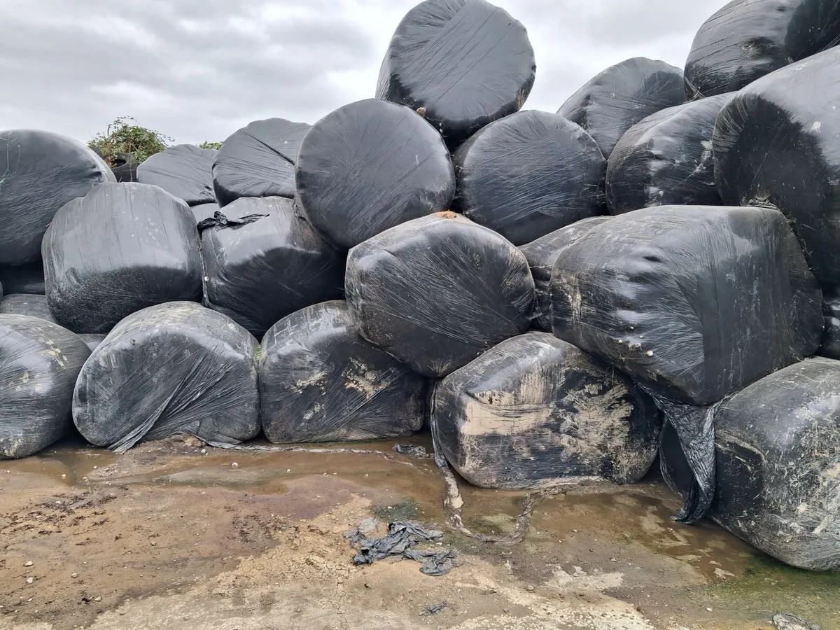 Silage bales. - Image 3