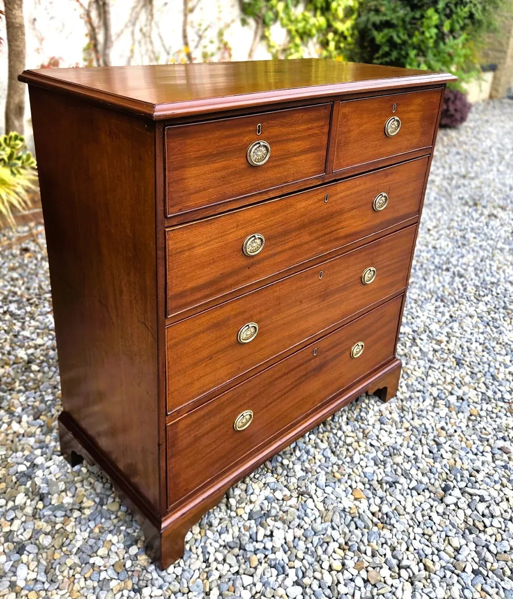 Antique Irish Mahogany Chest- Circa 1860 - Image 1