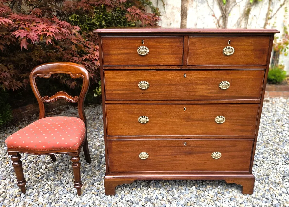 Antique Irish Mahogany Chest- Circa 1860 - Image 2