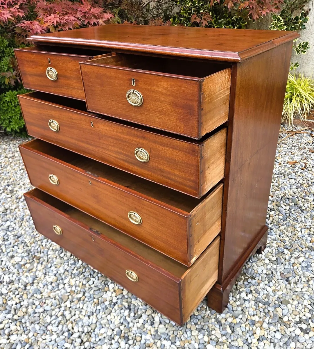 Antique Irish Mahogany Chest- Circa 1860 - Image 4