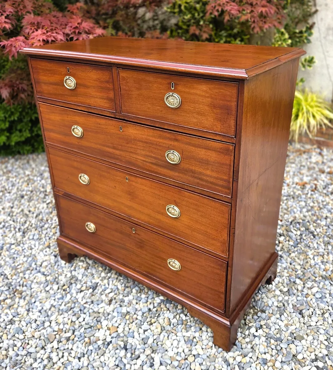Antique Irish Mahogany Chest- Circa 1860 - Image 3