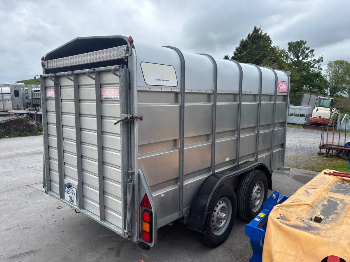 aerlite 12ft livestock trailer - Image 4