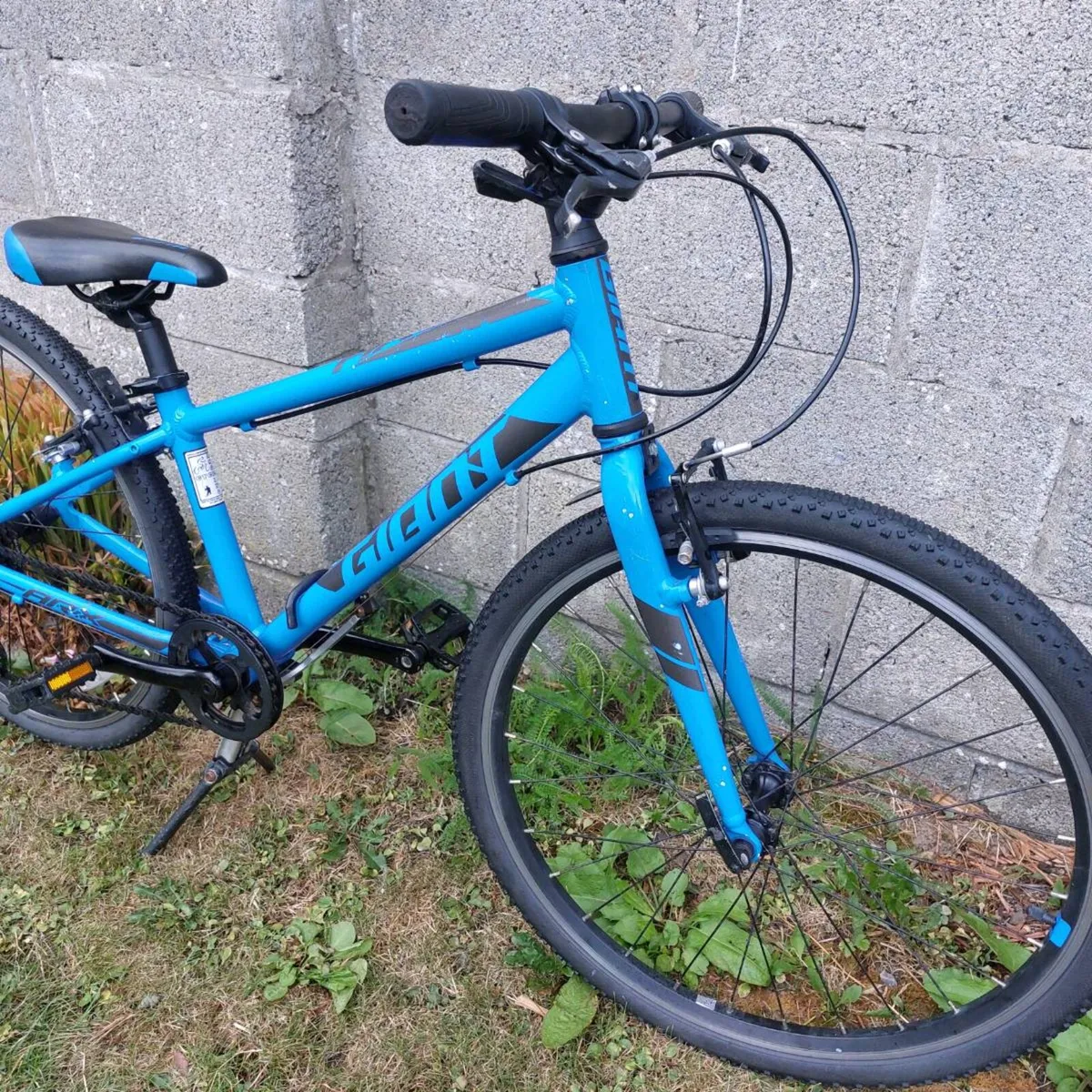 Giant ARX JR 24" wheel kids bike - kids aged 7-12 - Image 4