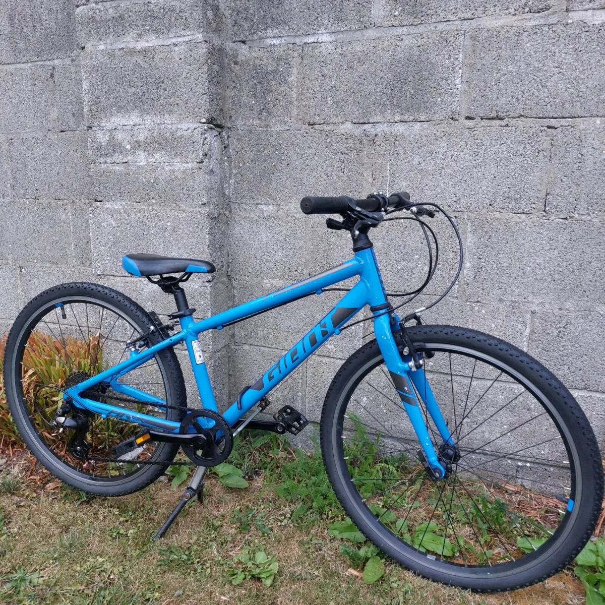 Giant ARX JR 24" wheel kids bike - kids aged 7-12 - Image 1