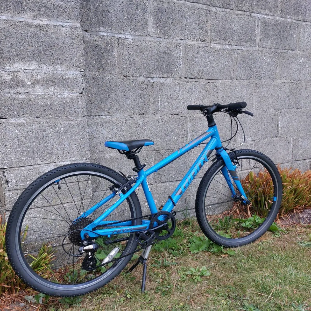 Giant ARX JR 24" wheel kids bike - kids aged 7-12 - Image 3