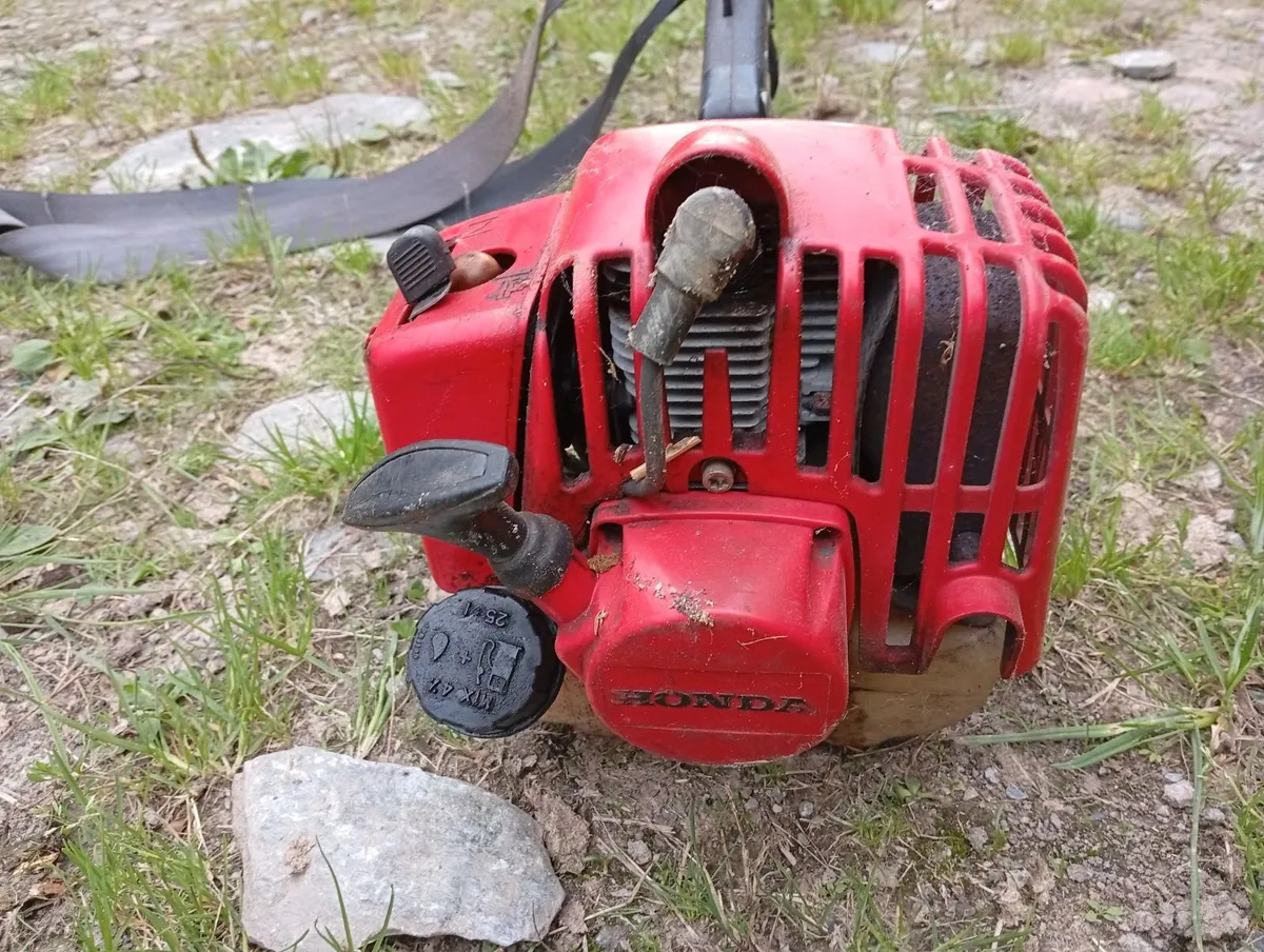 Strimmer - Image 1