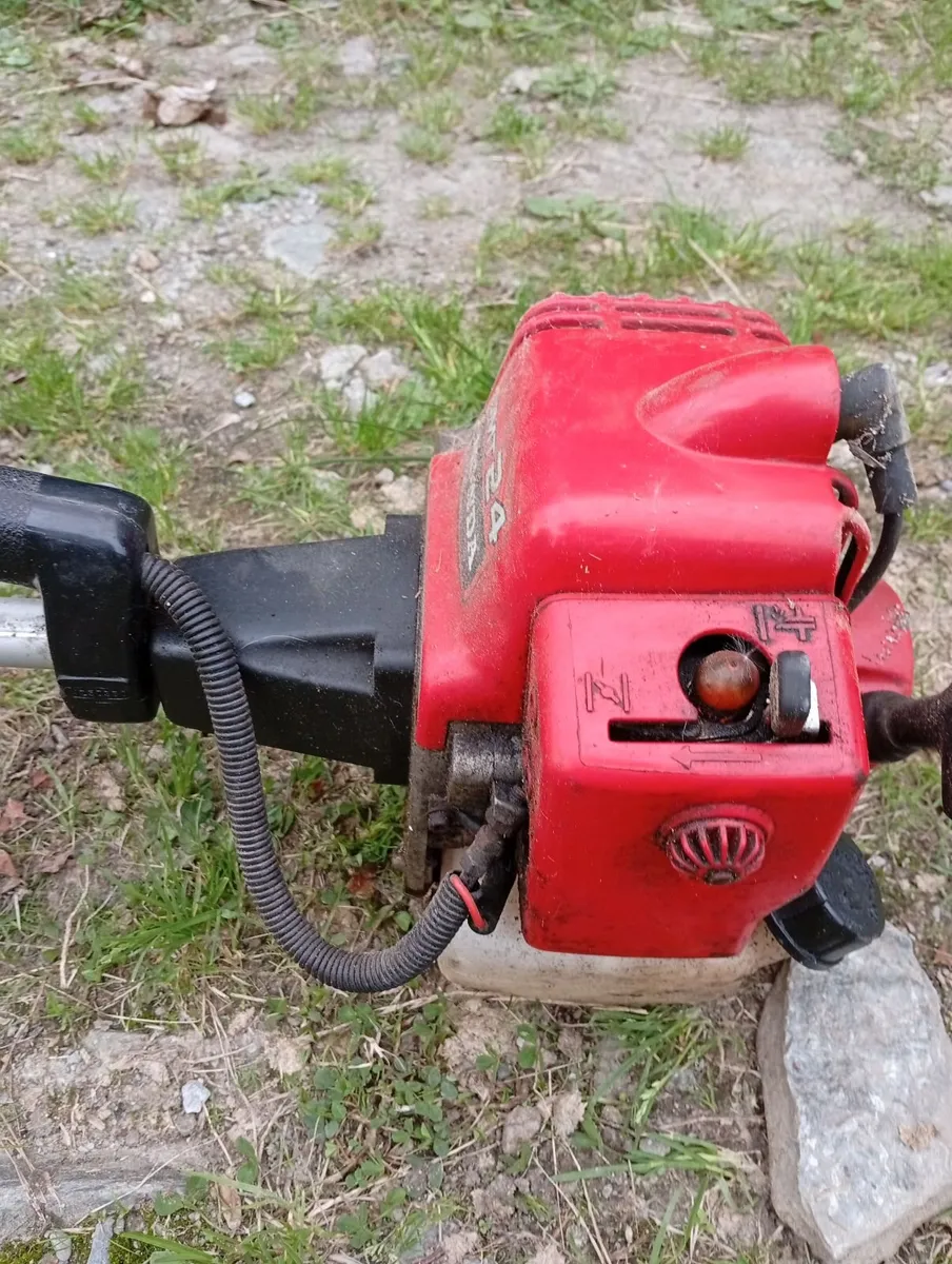 Strimmer - Image 2