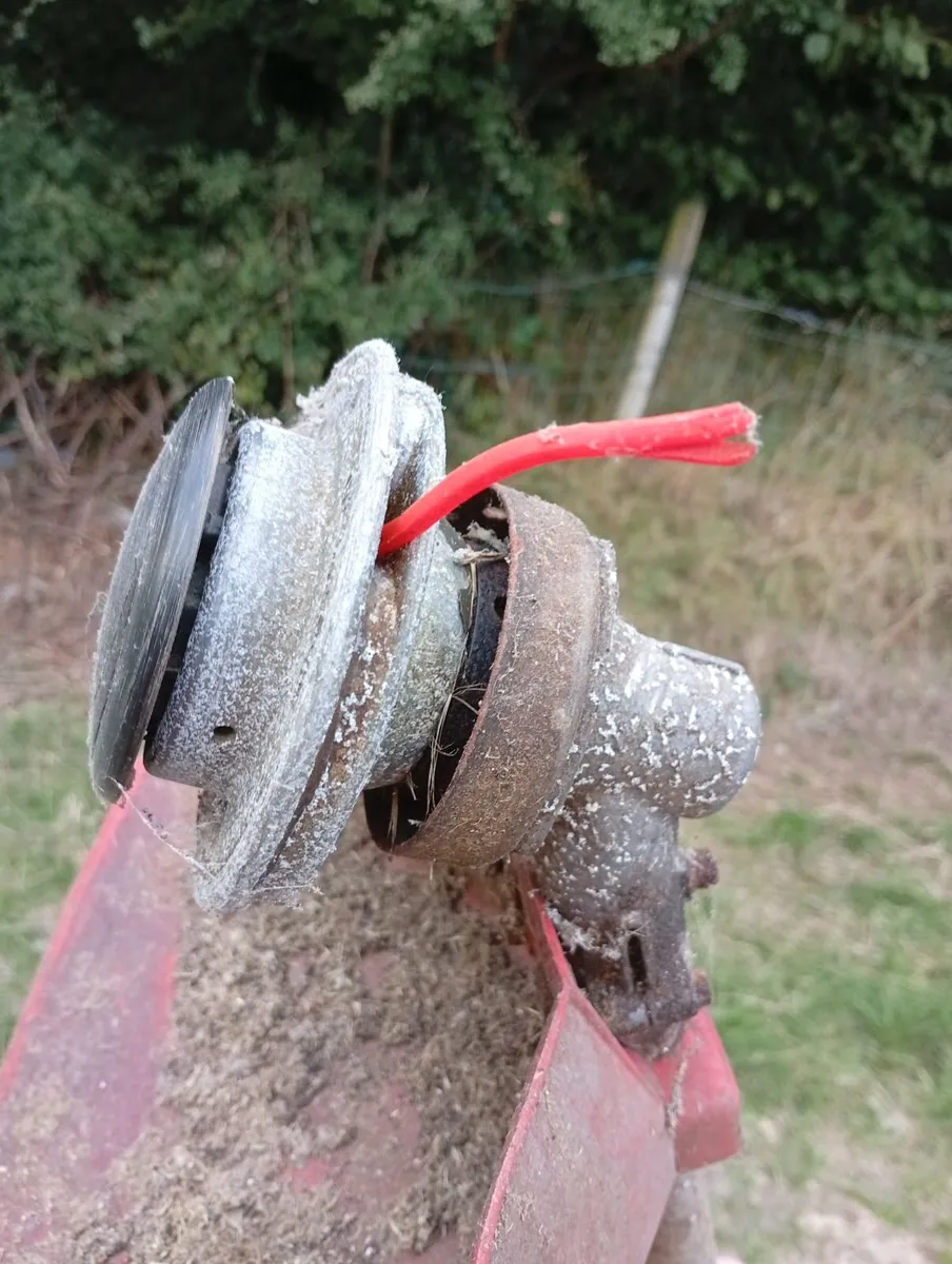 Strimmer - Image 3