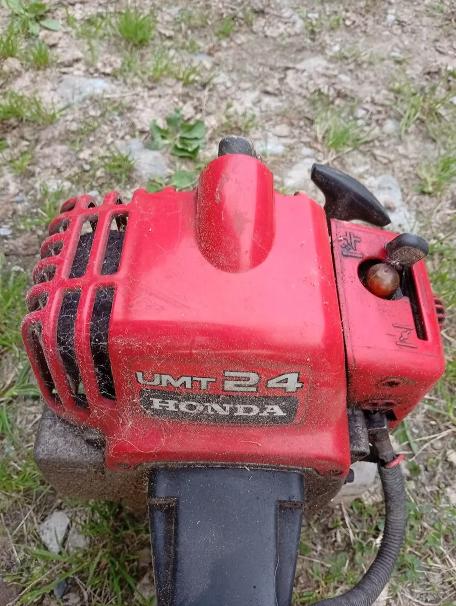 Strimmer - Image 4