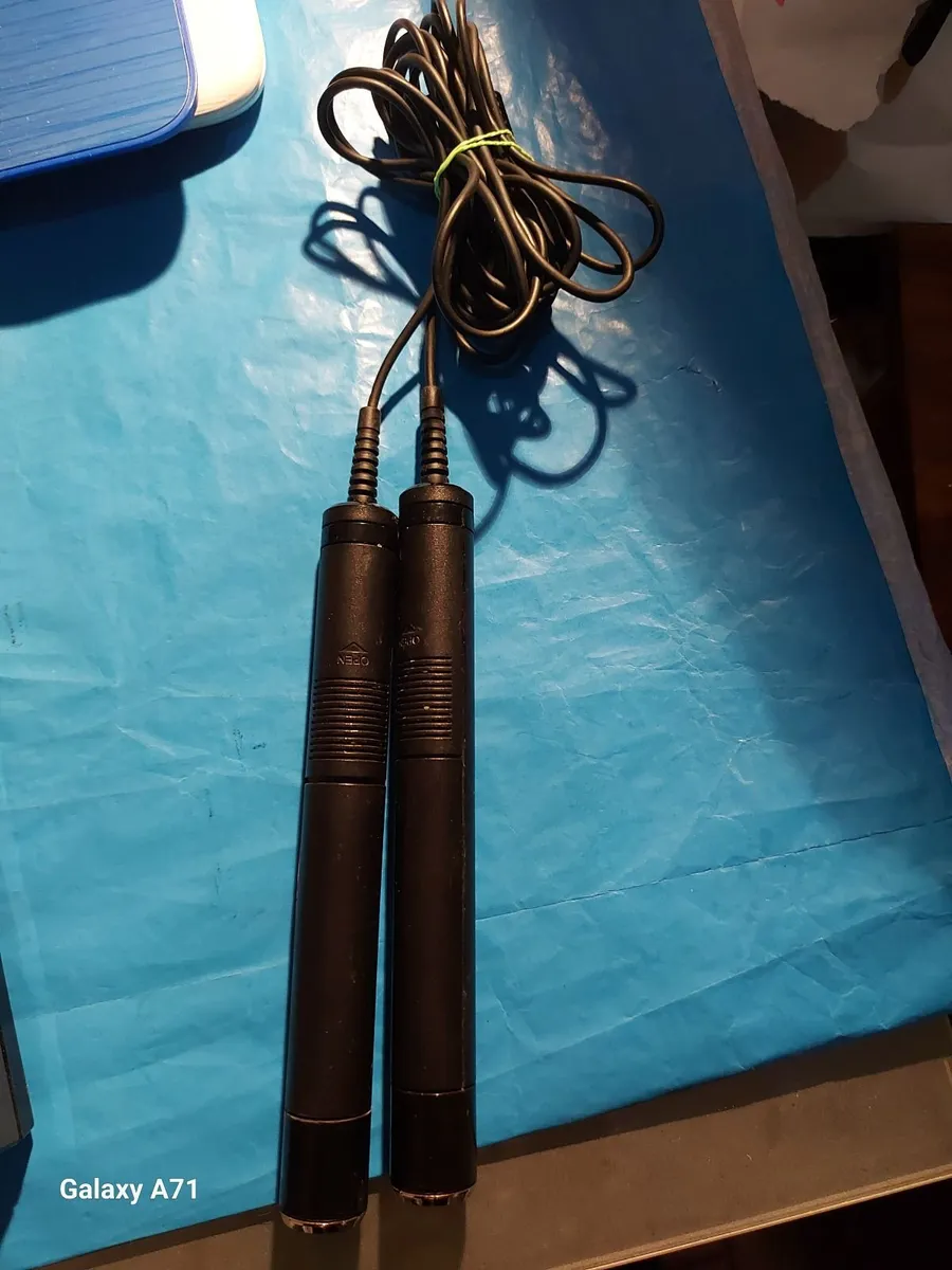 Philips Electret twin Microphones - Image 2