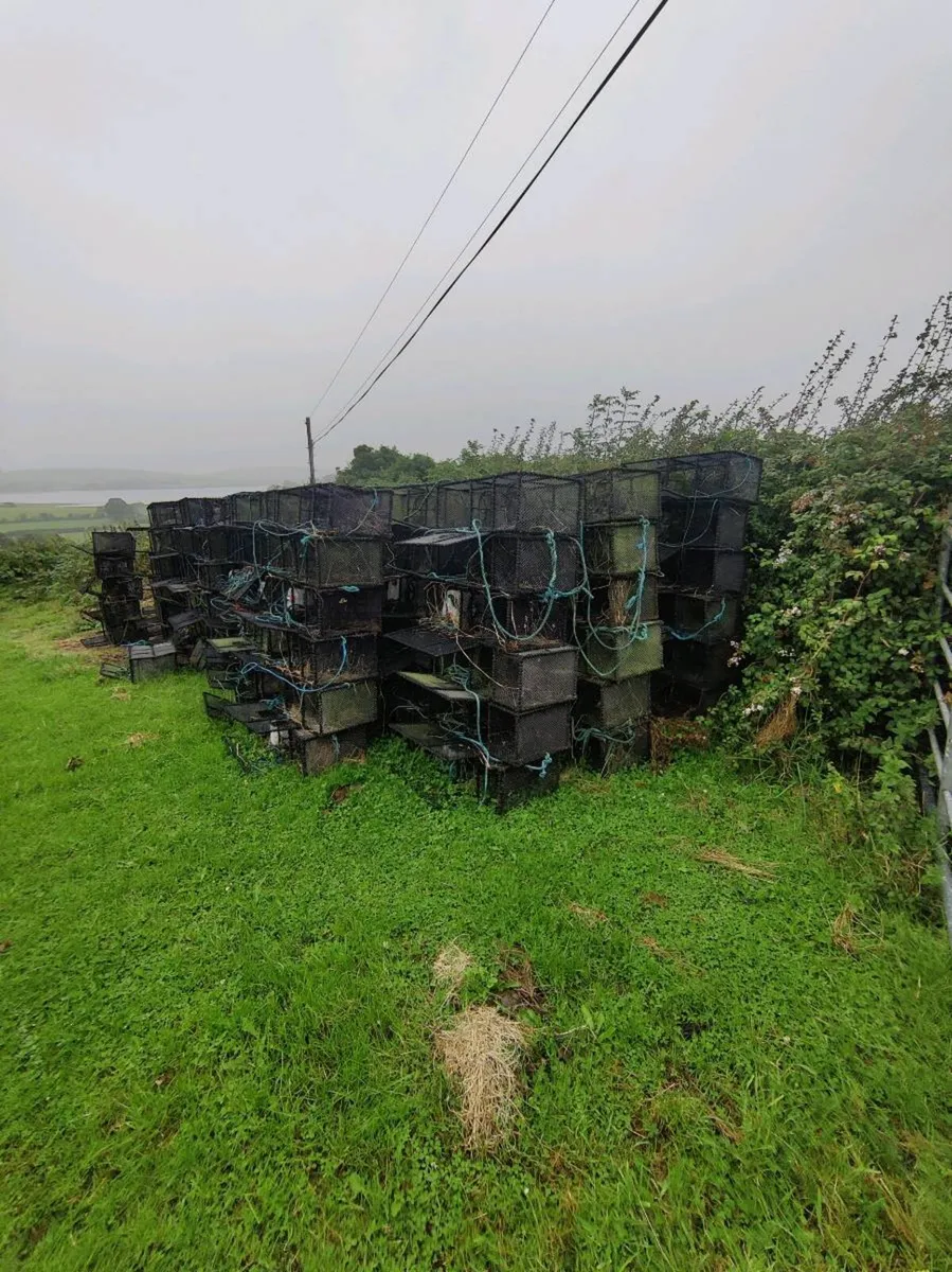 Wrasse Pots - Image 4