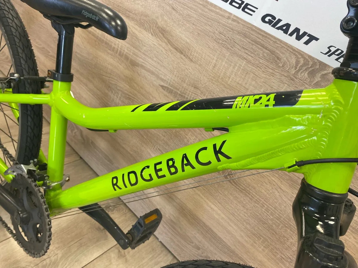 Ridgeback MX24 - Image 3