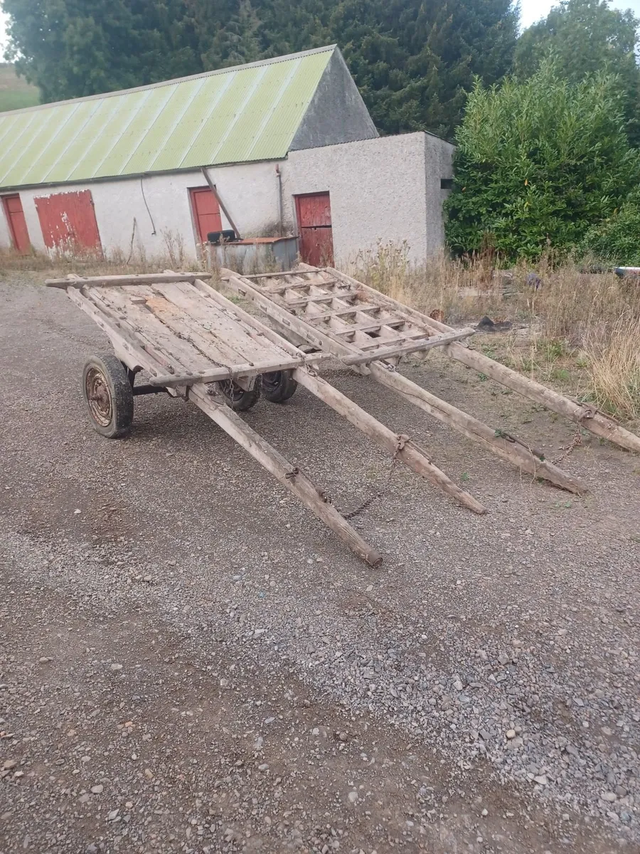Horse carts - Image 1