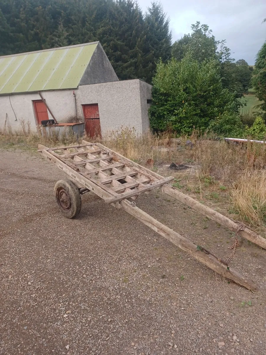Horse carts - Image 3