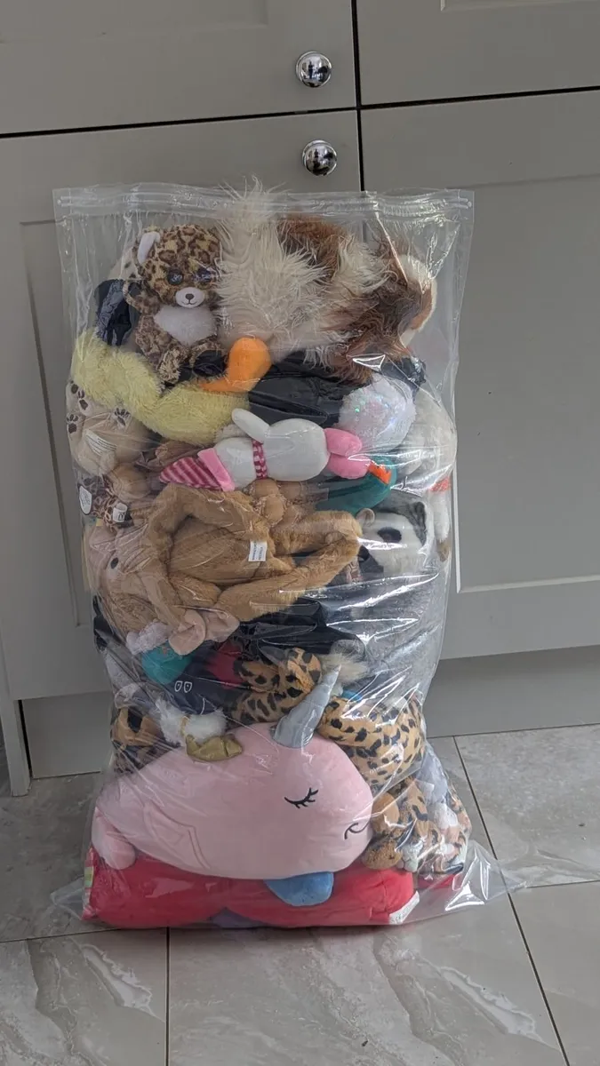 *FREE* Selection of teddy bears - Image 1