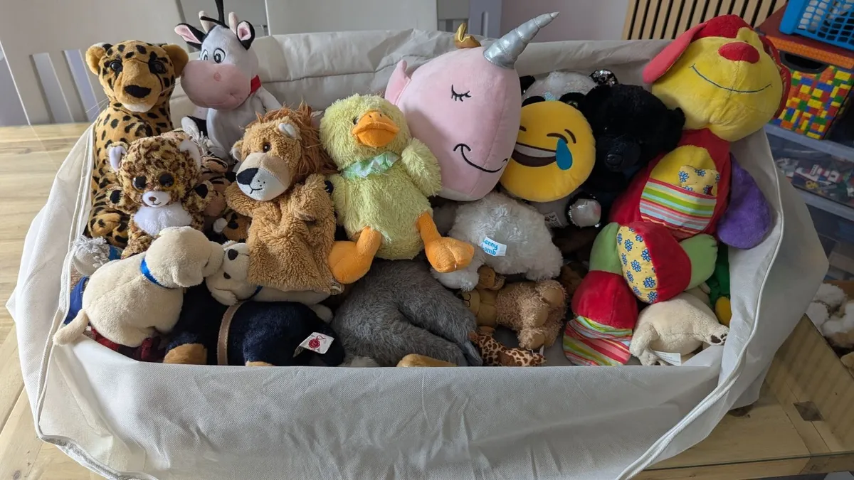 *FREE* Selection of teddy bears - Image 2