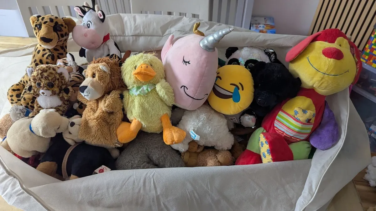 *FREE* Selection of teddy bears - Image 3