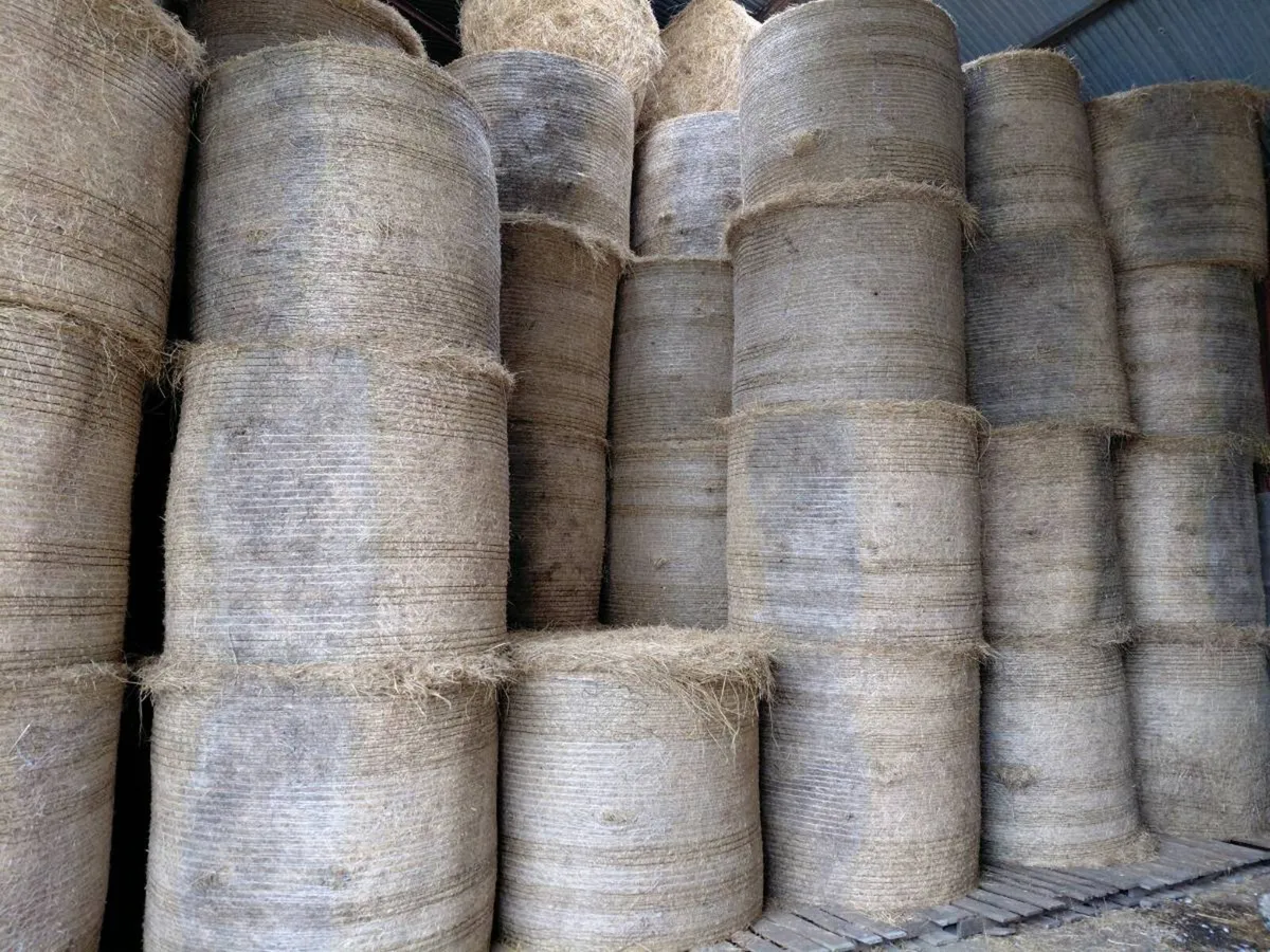 June made hay - Image 1
