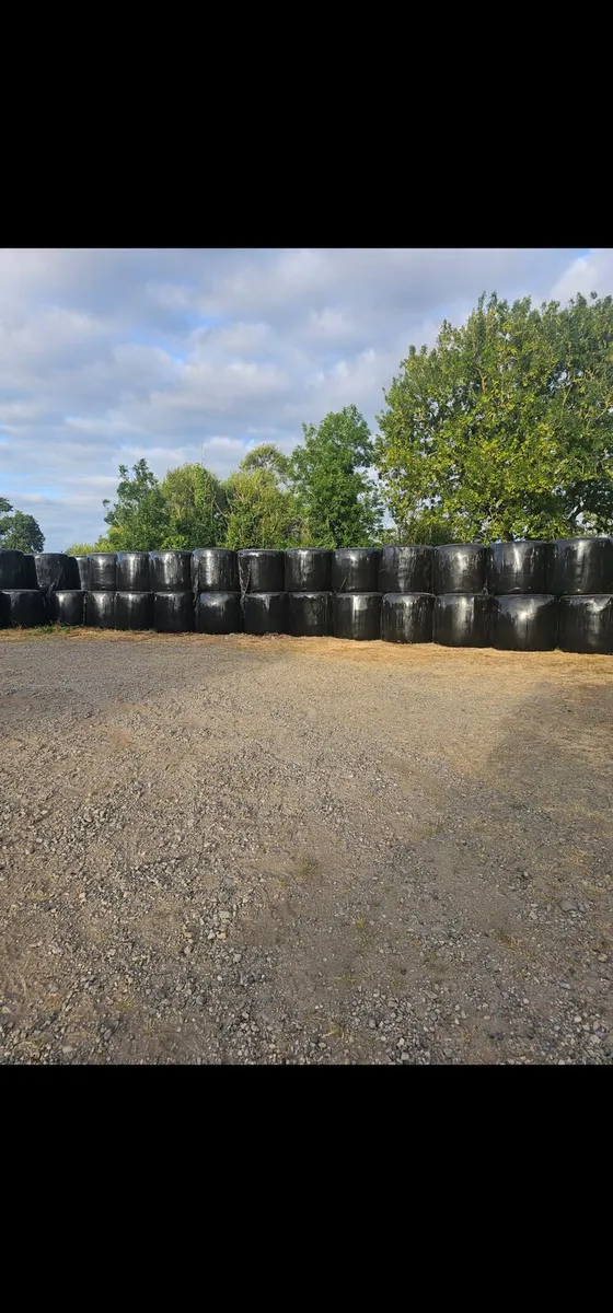 Bales of silage - Image 1