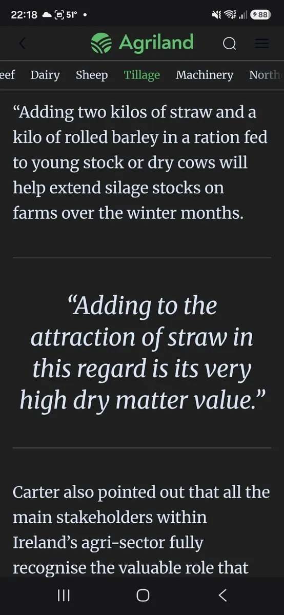 straw - Image 1