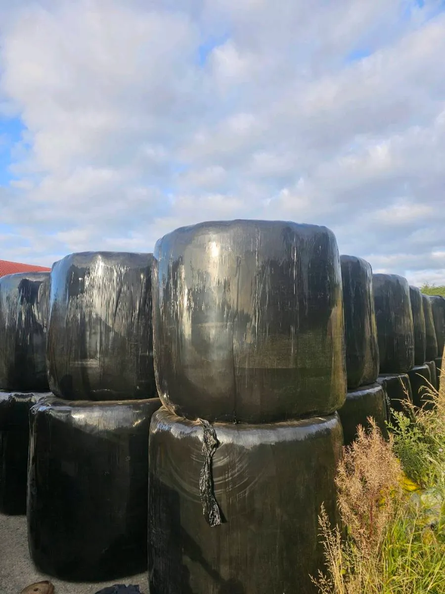 Bales of silage - Image 2