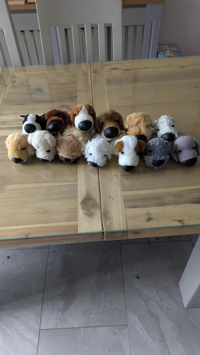 *FREE* Teddy bears - Image 1