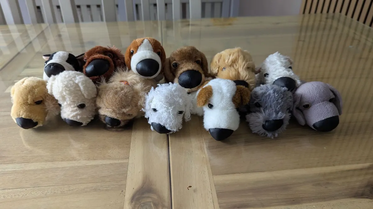 *FREE* Teddy bears - Image 2