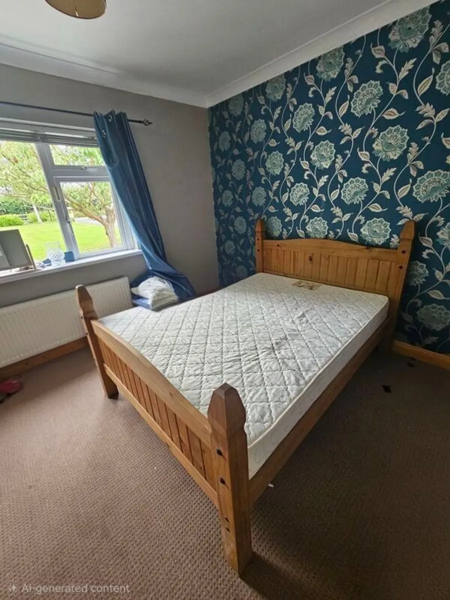 Mexican Pine Double Bed - Image 1