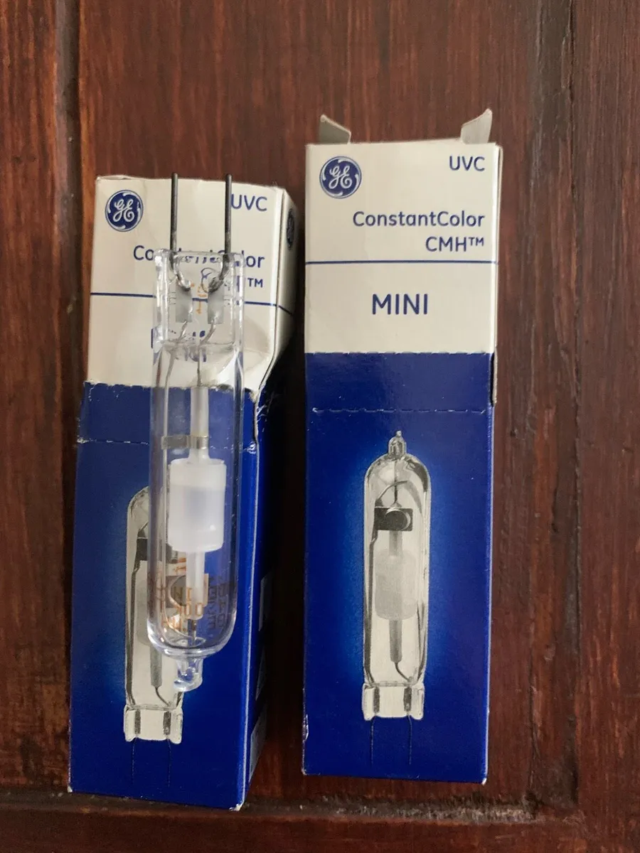 Constant Color Bulb