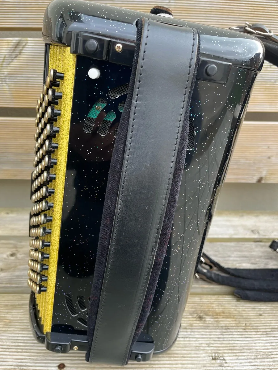 Accordion - Image 4