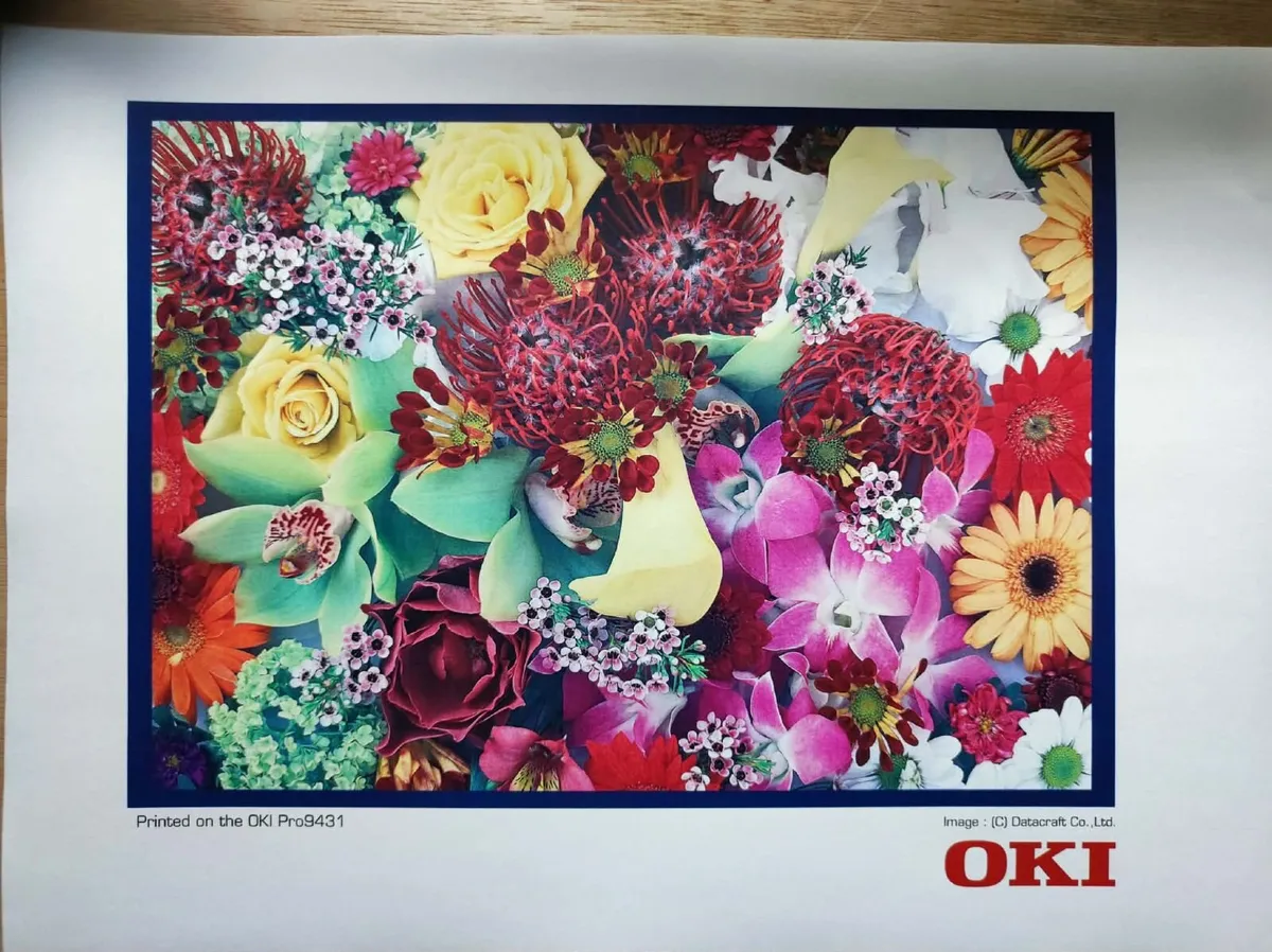 Oki Pro9431 & Oki C931 Printer - Image 4
