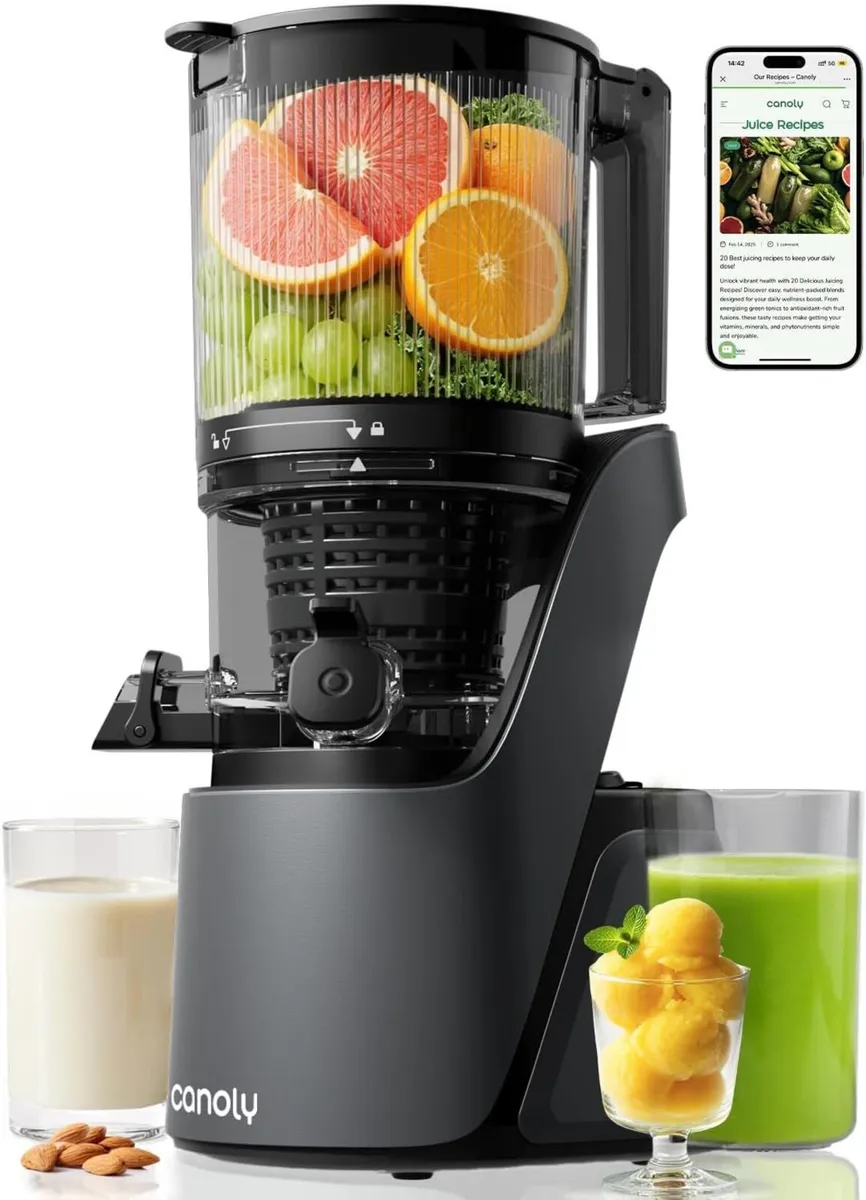 3-In-1 Cold Press Juicer Machines 150MM Feed Chute - Image 1