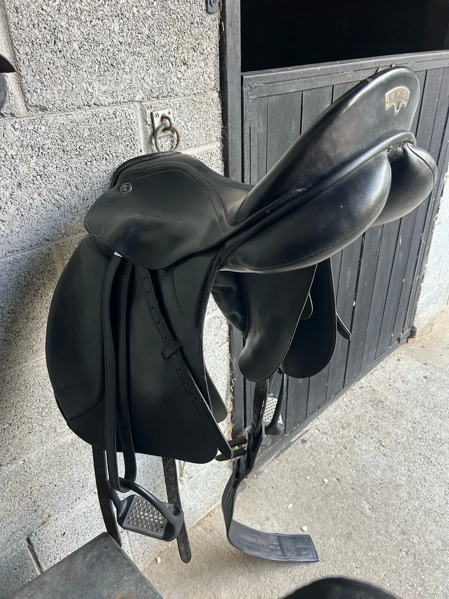 Saddle and leathers - Image 1