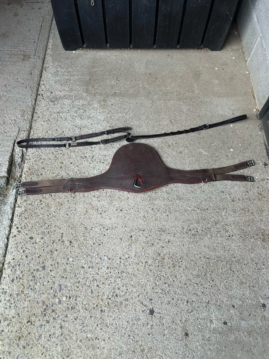 Saddle and leathers - Image 4