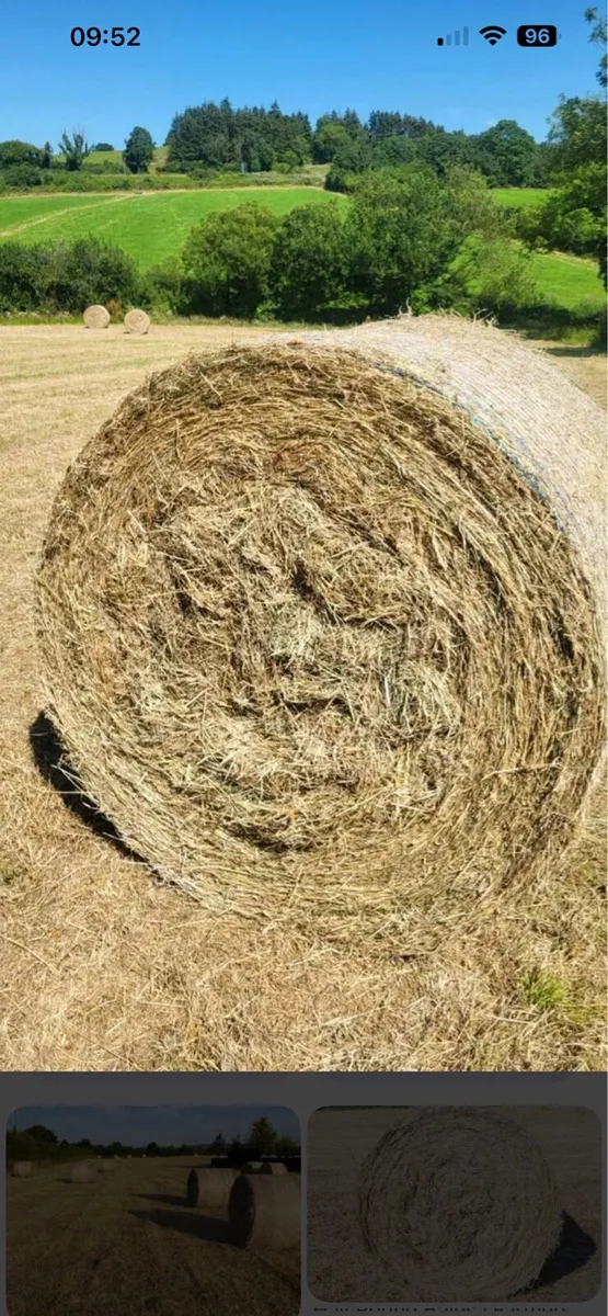 Bales of hay