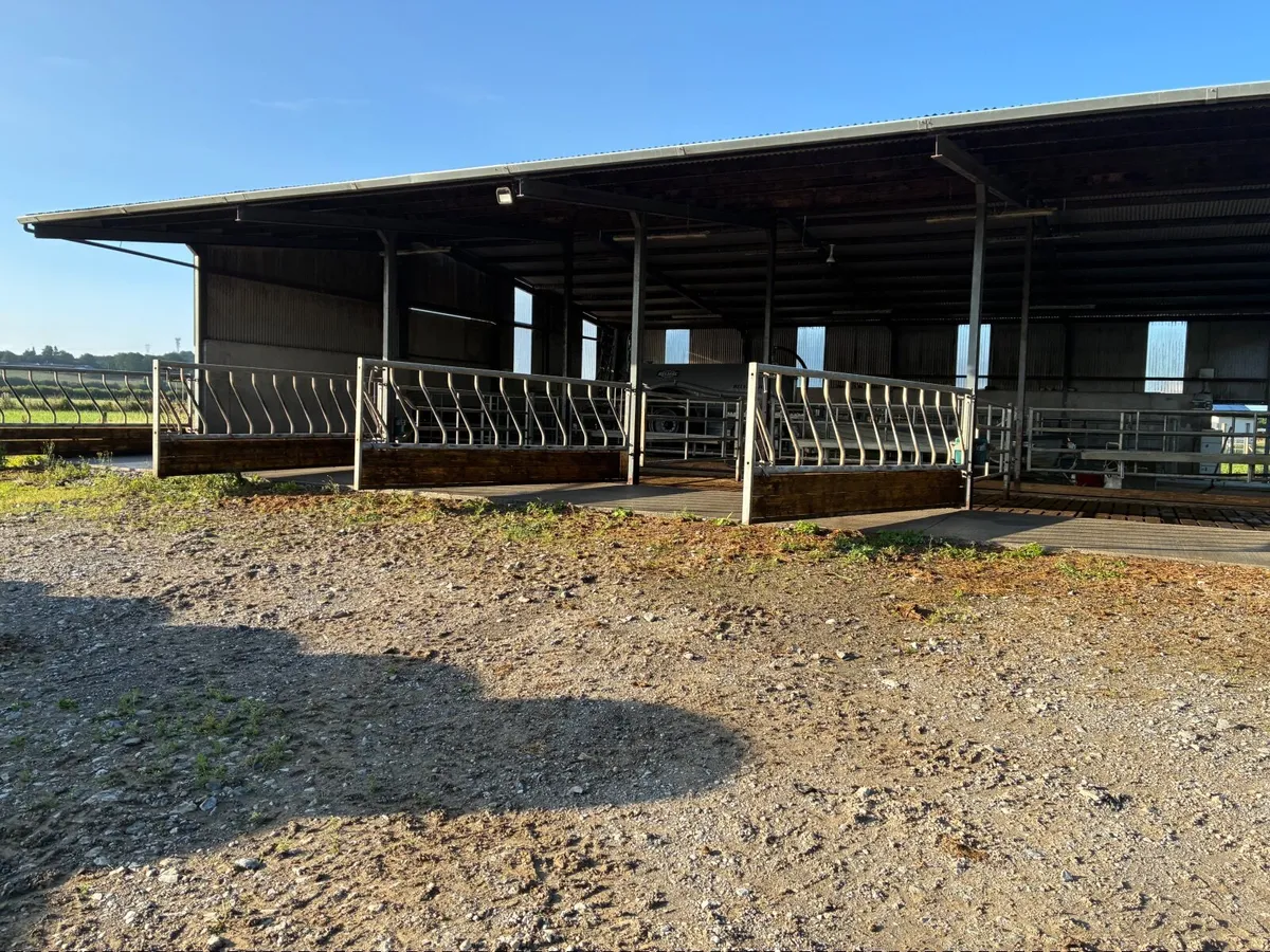 Diagonal cattle barriers - Image 4