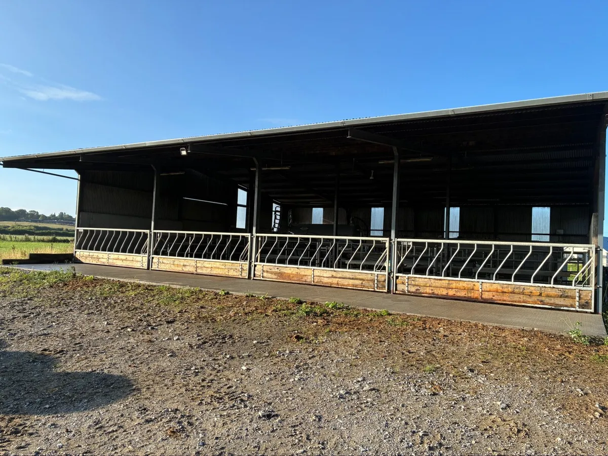 Diagonal cattle barriers - Image 1