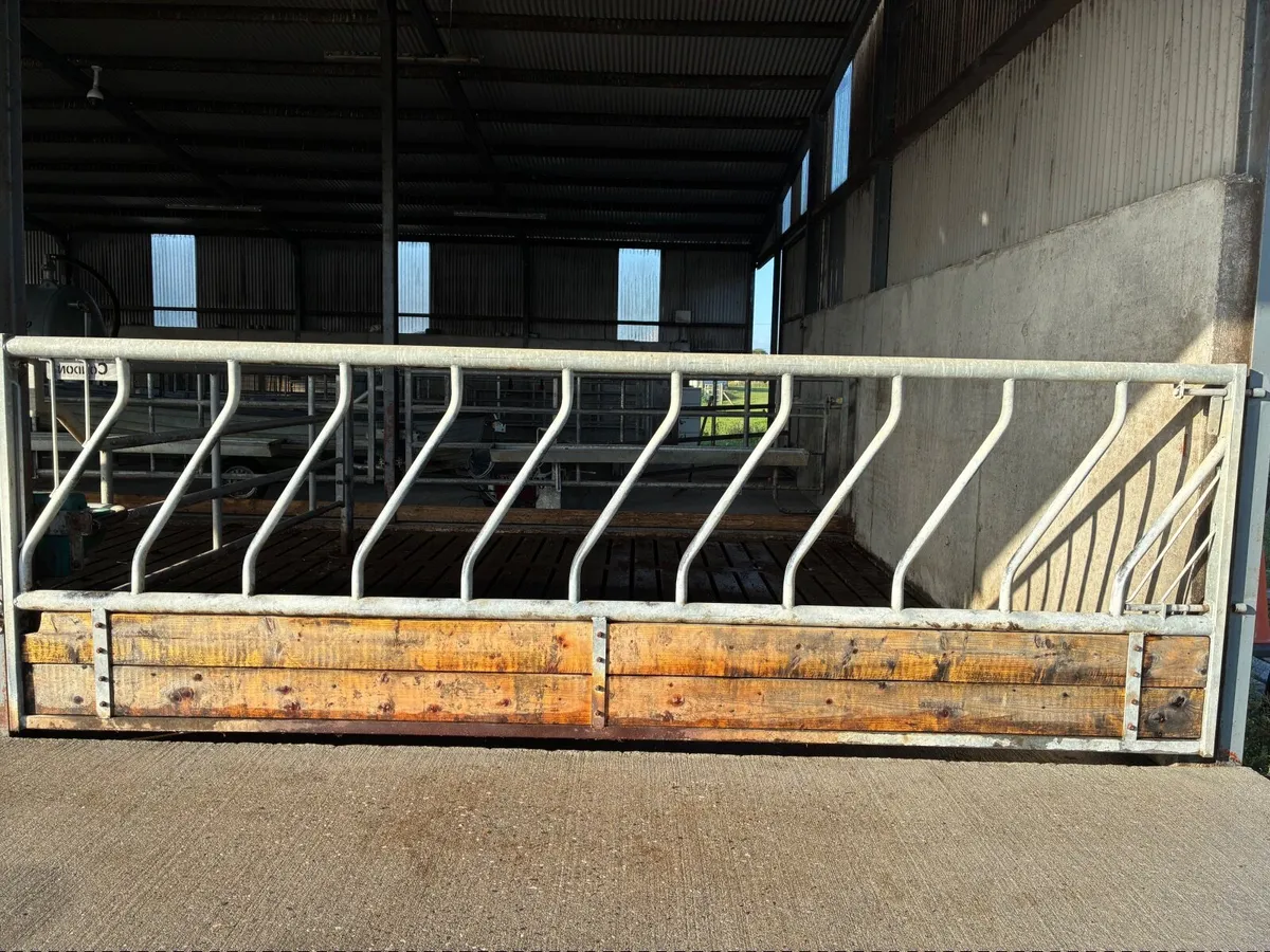 Diagonal cattle barriers - Image 3