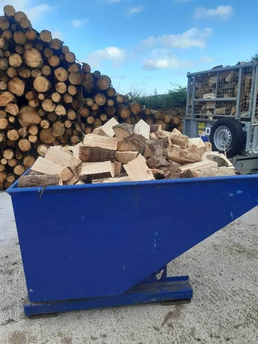 Firewood - Image 2