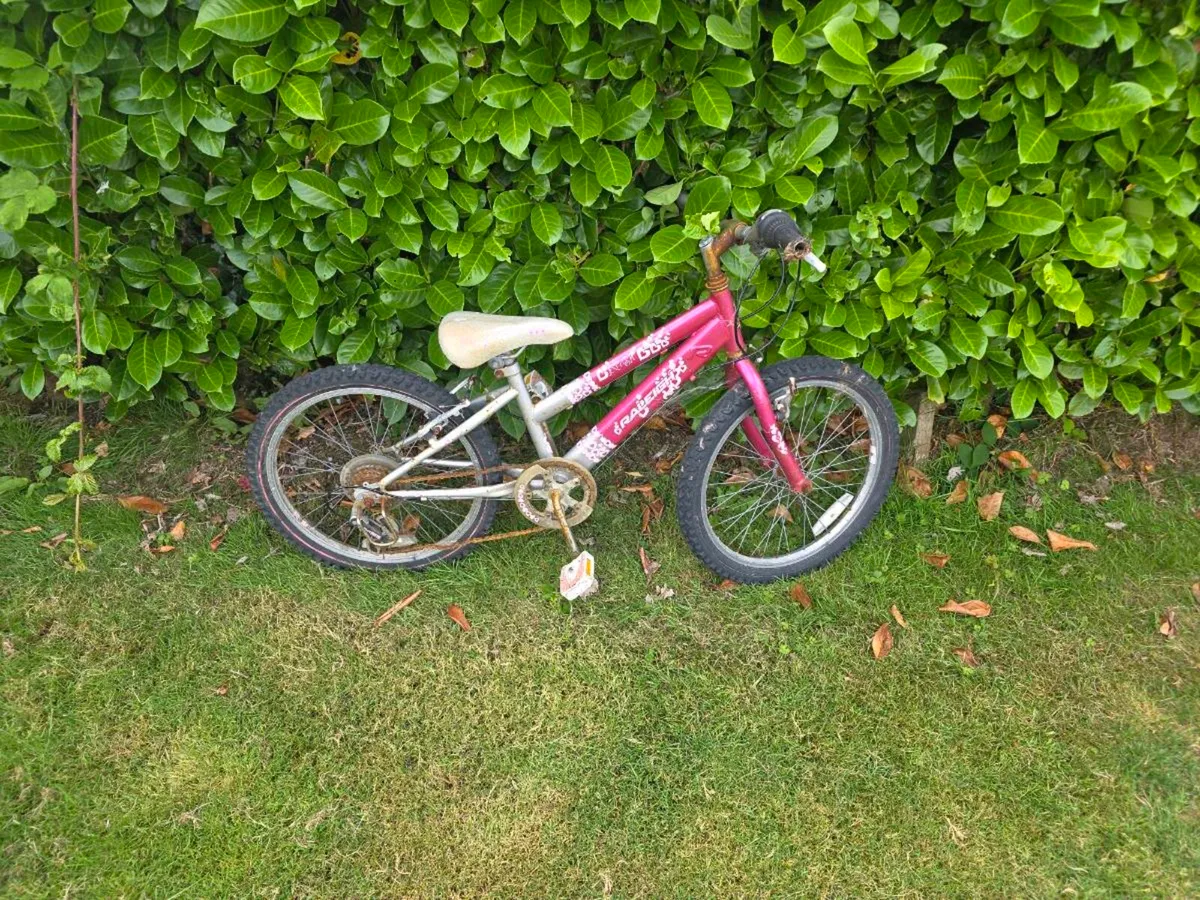 Bike - Image 2