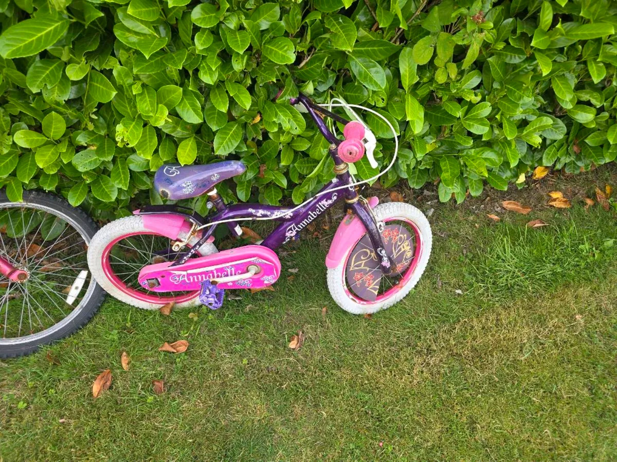 Bike - Image 1
