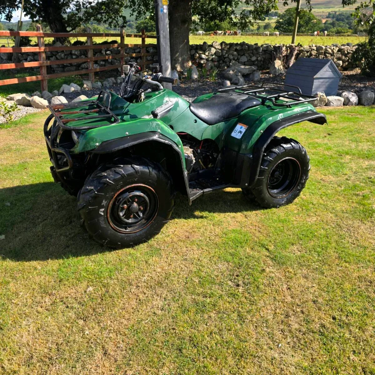 2018 Yamaha grizzle & Honda 250 trx - Image 1