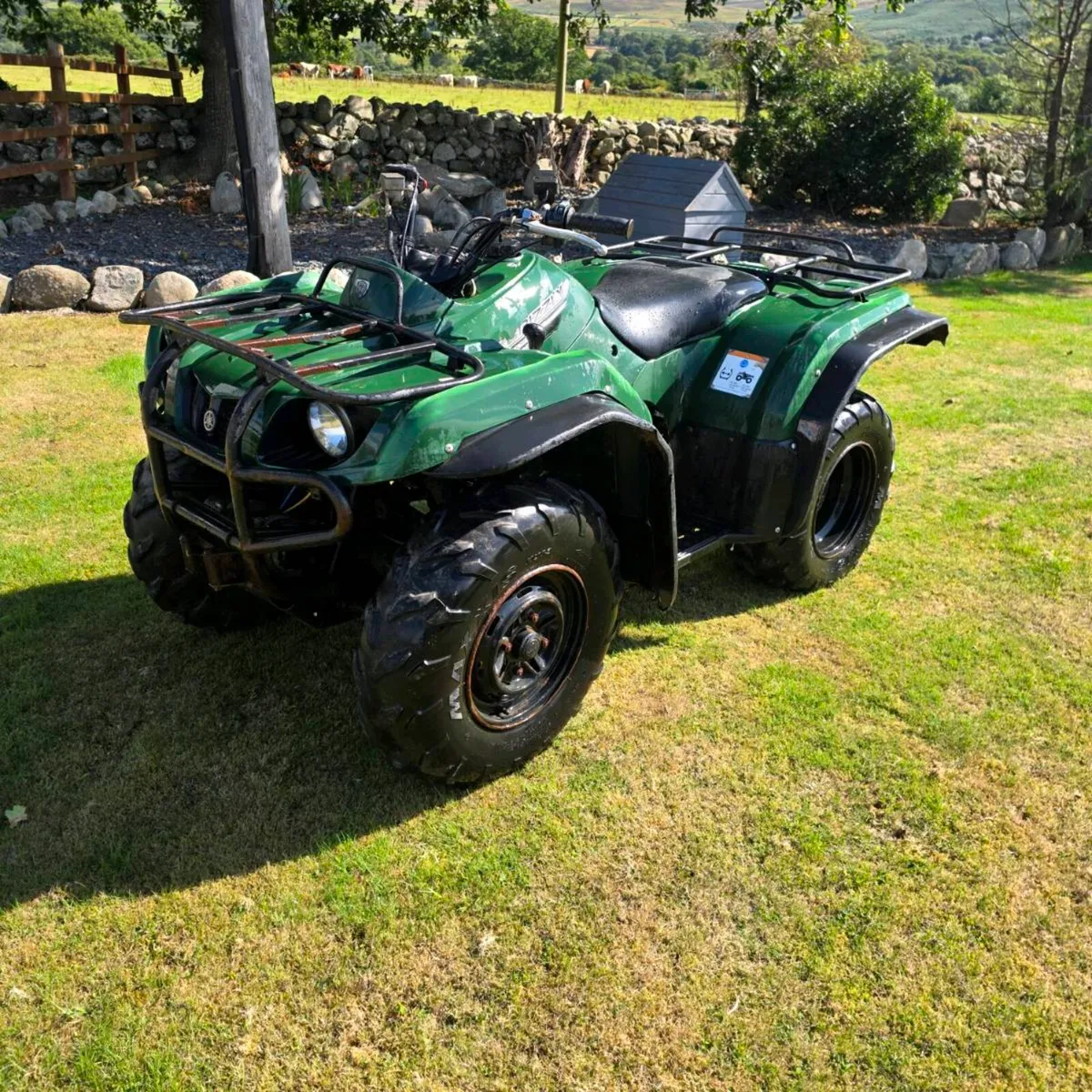 2018 Yamaha grizzle & Honda 250 trx - Image 3