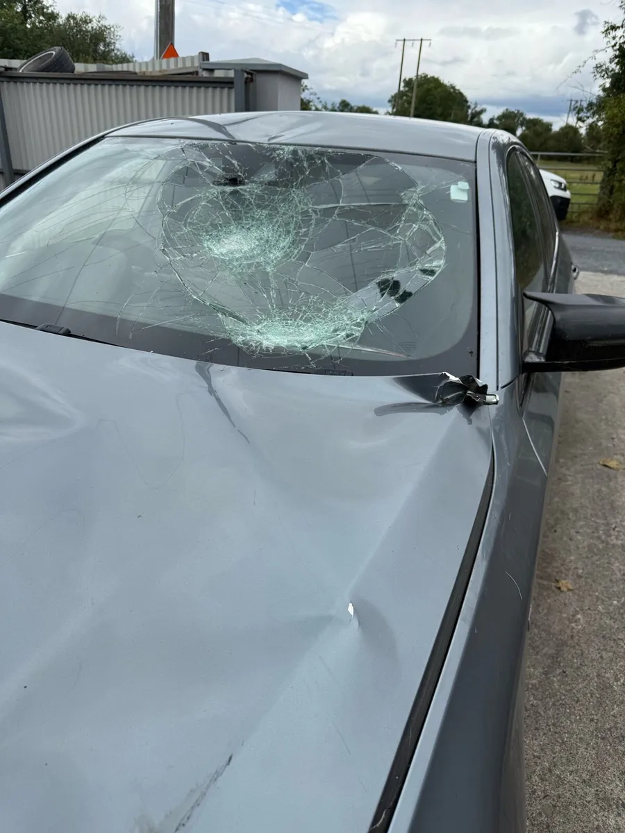 2018 BMW 520d G30 damaged - Image 3