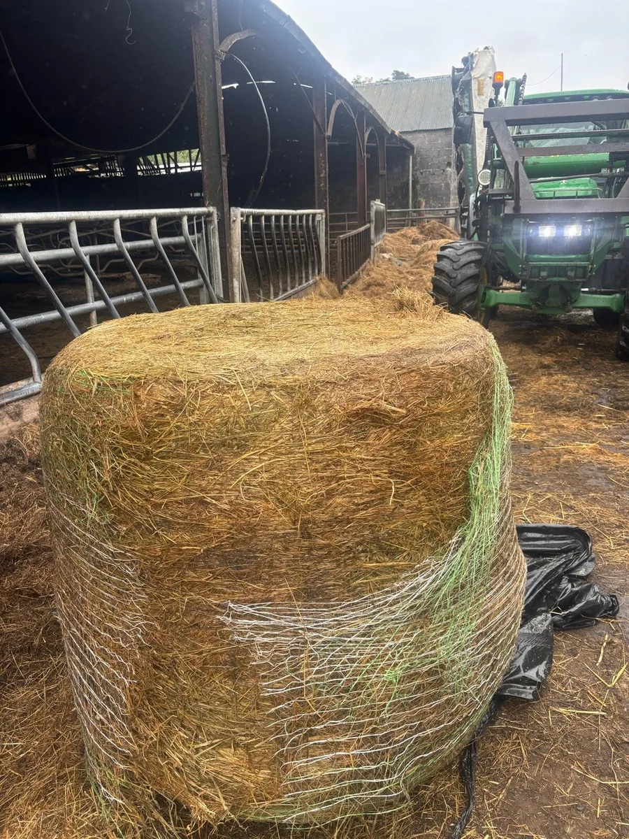 180 bales of first cut silage - Image 3