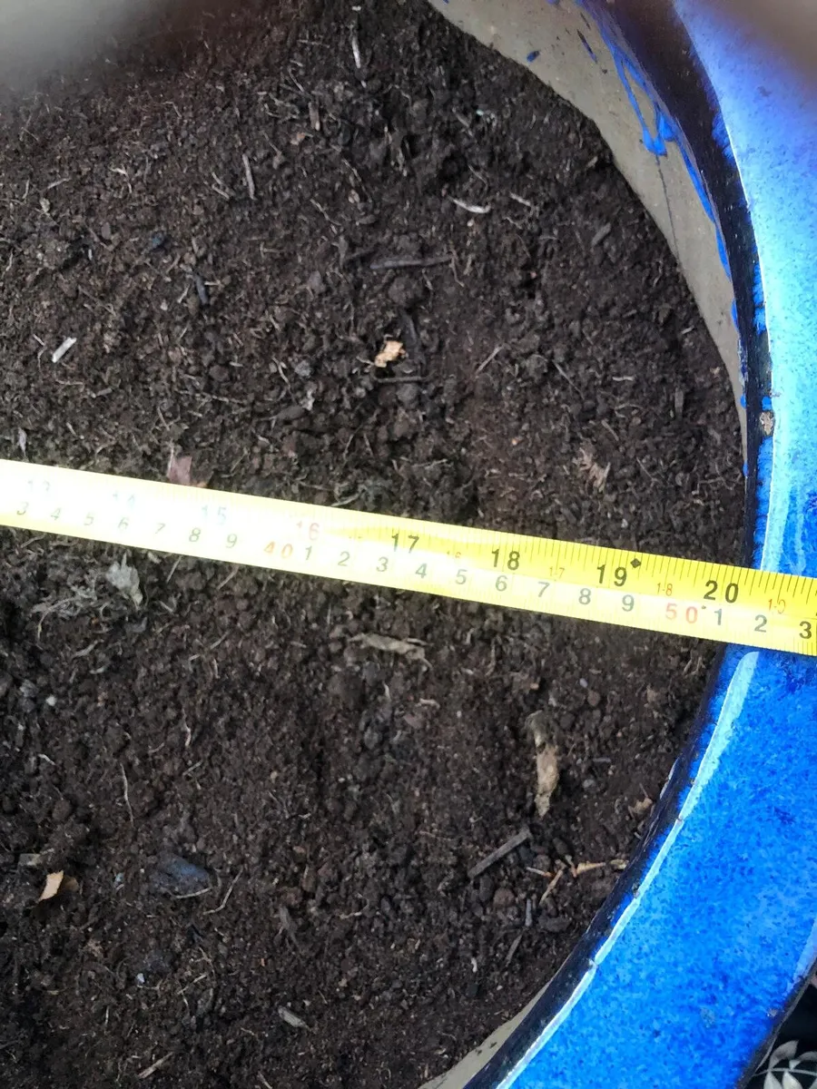 Flower pots - Image 2